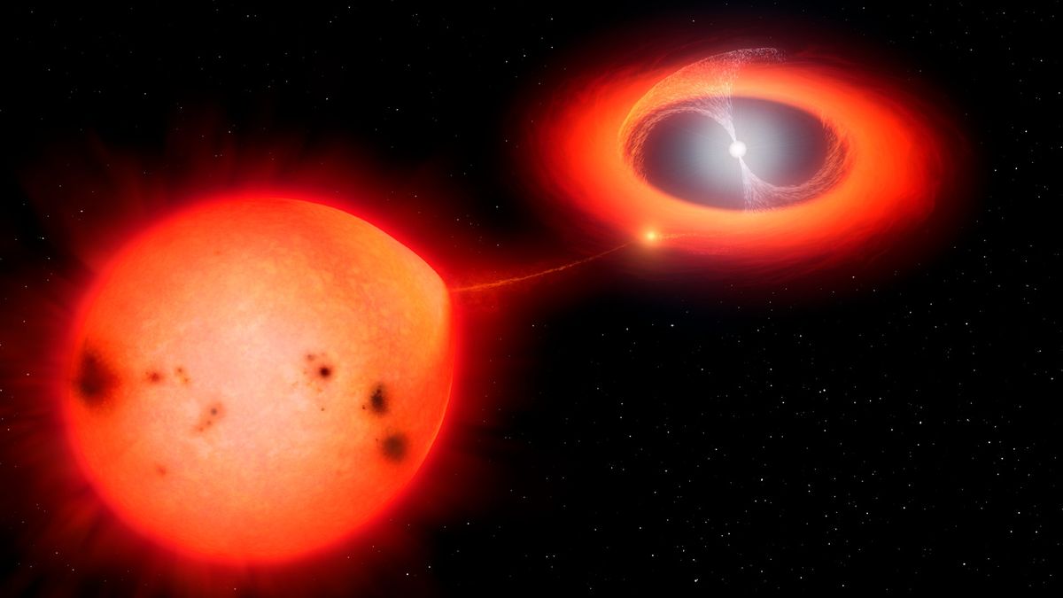 Cannibal stars binary system